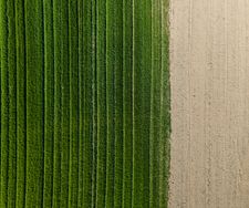 page-layout-gallery-4-myP3NRva6xQ-unsplash